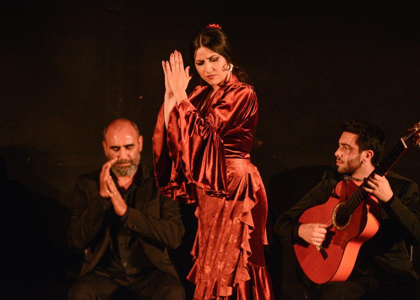 flamenco real gema moneo