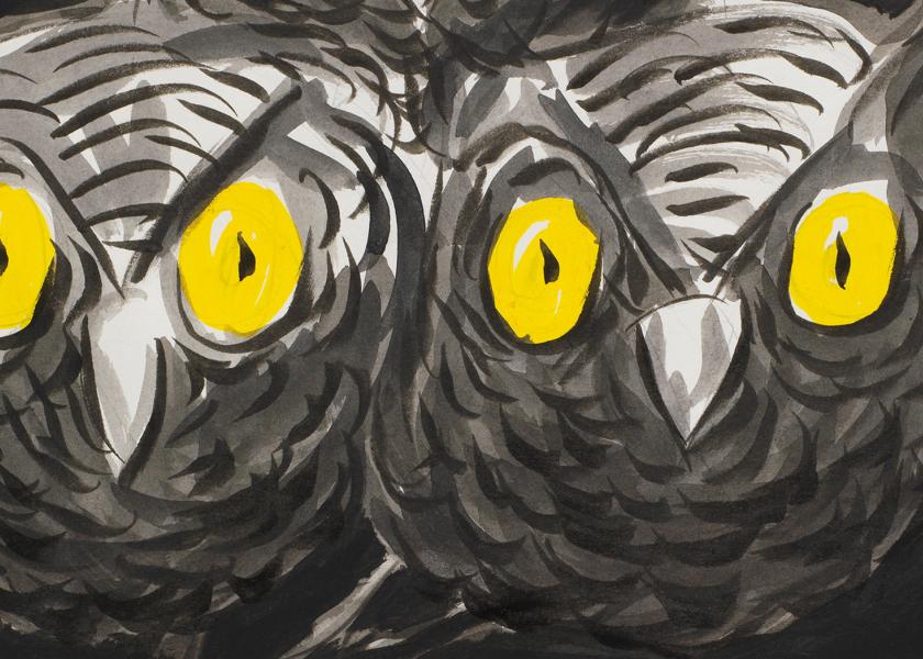 el roto cover owls