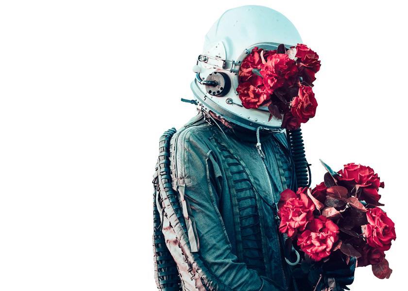 trilogia nocilla fernandez mallo