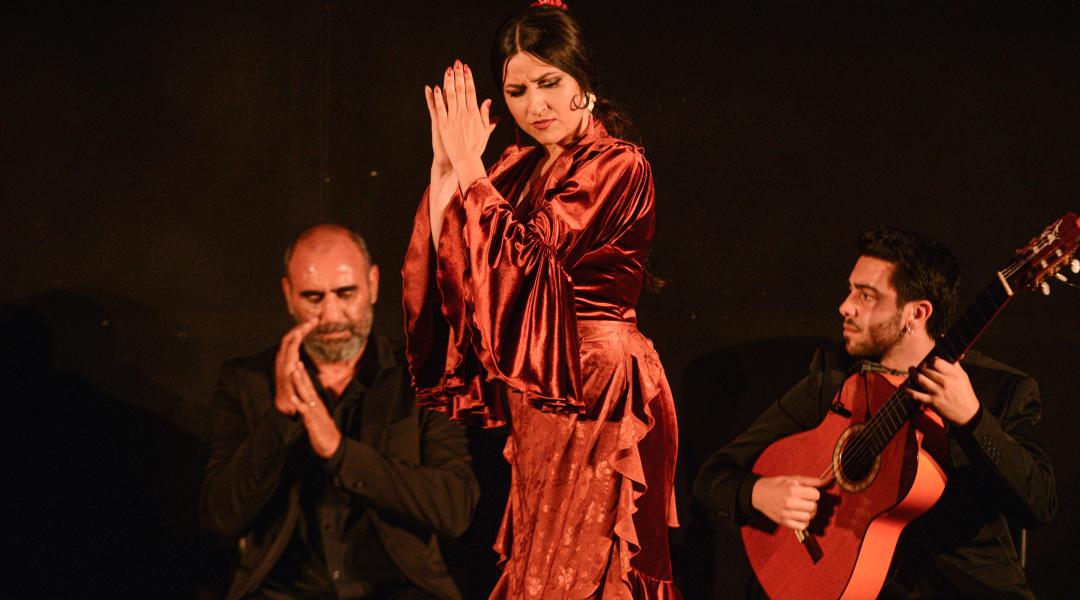 flamenco real gema moneo
