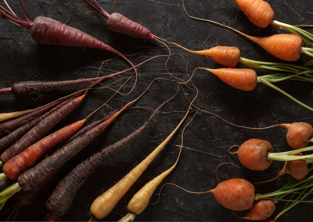 Black carrots, cosmic carrots, purple carrots, solar yellow carrots, Parisian round carrots, and conical Chantenay carrots