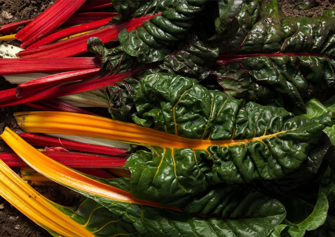 Red, yellow, and white chard from Llanos de Bonanza