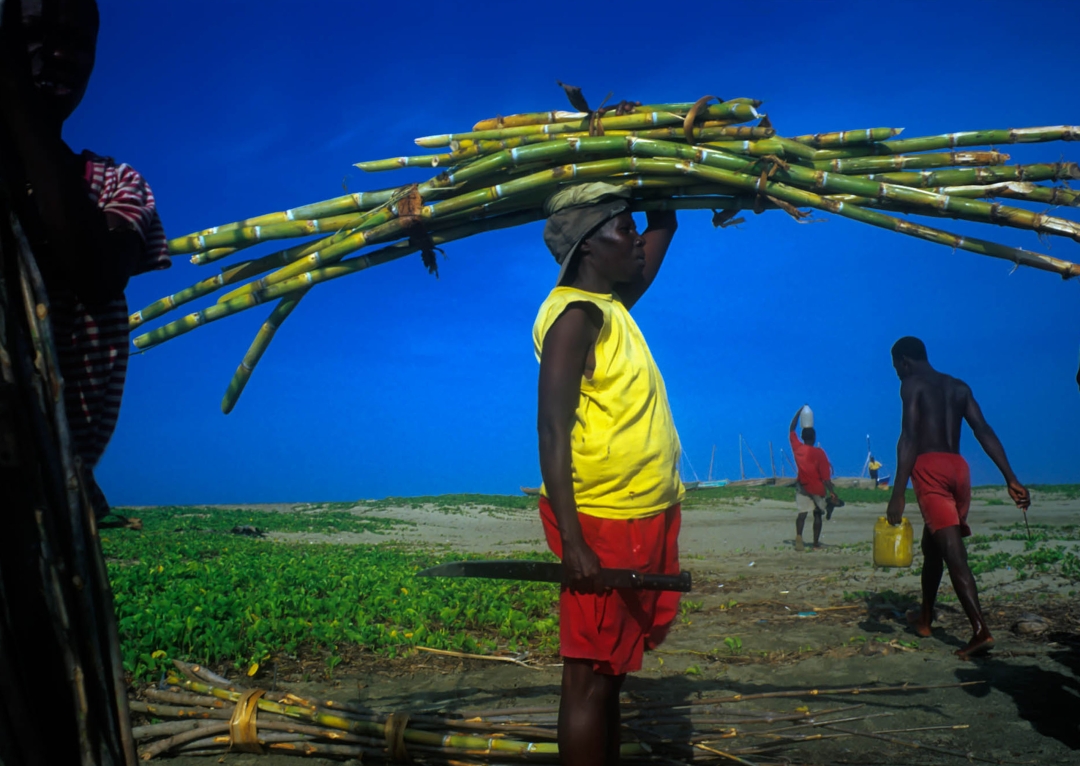 Tino Soriano portrayed the way of life of sugarcane cutters in Haiti